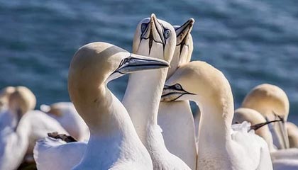 永利平台-《开麦了LPL》片段——Xiaohu：我觉得自己是一个比较有反差的人